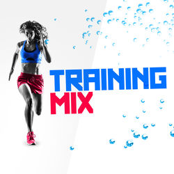 Cover of Training Mix by undefined