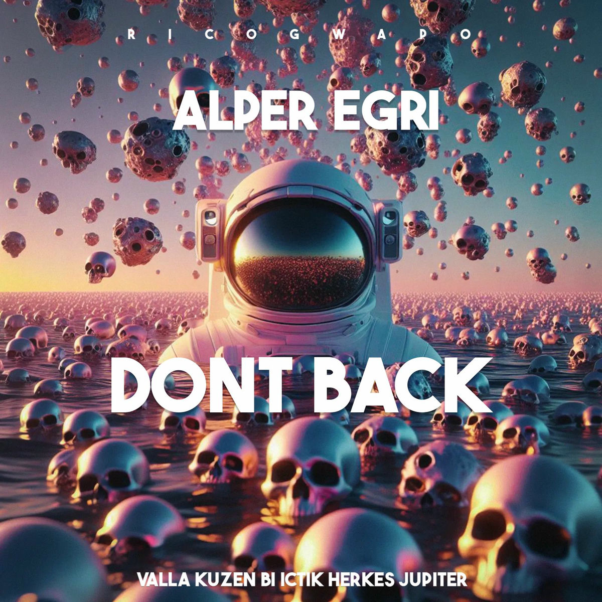 Album cover of Don't Back (Valla Kuzen Bi İçtik Herkes Jupiter)