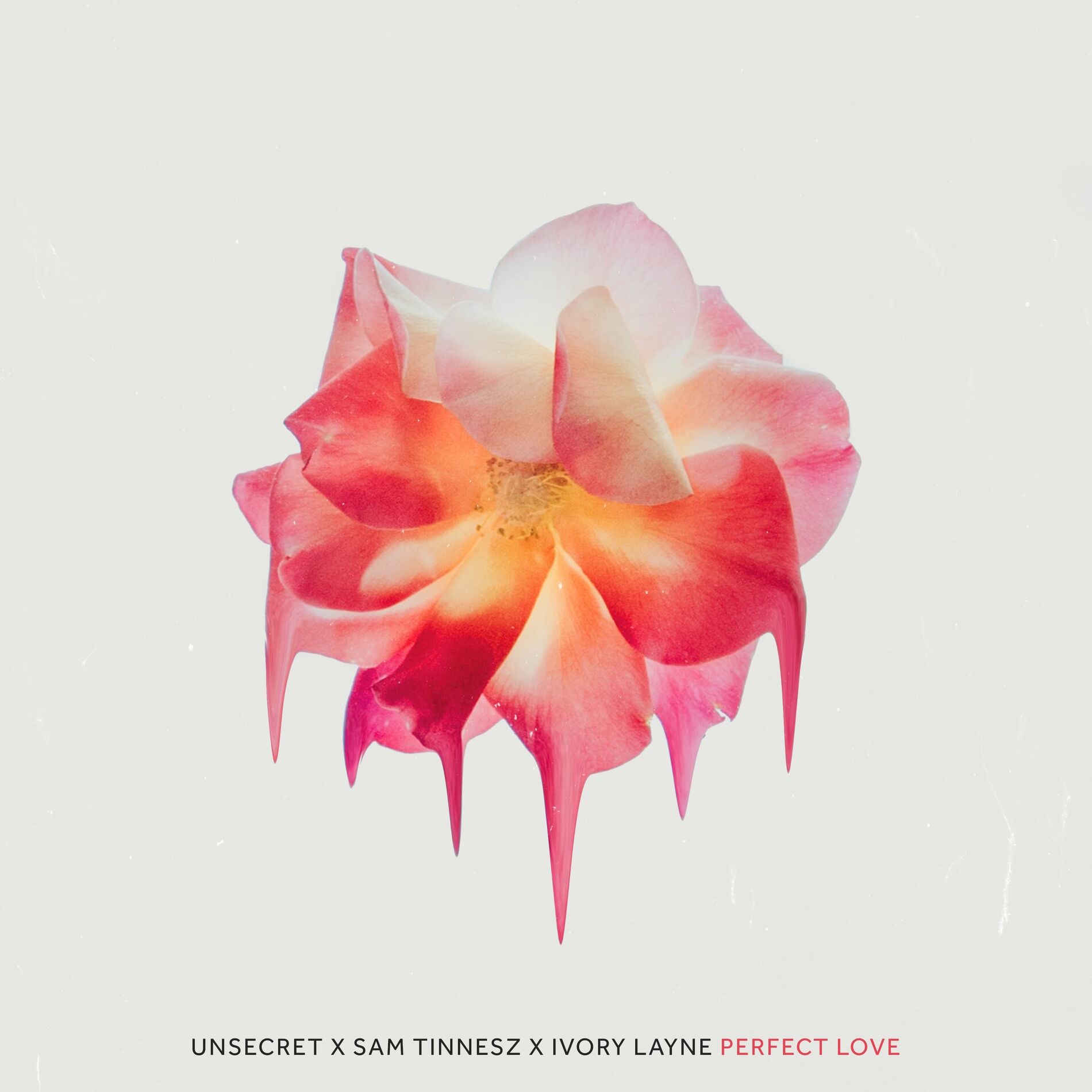 Album cover of Perfect Love