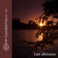 Late Afternoon