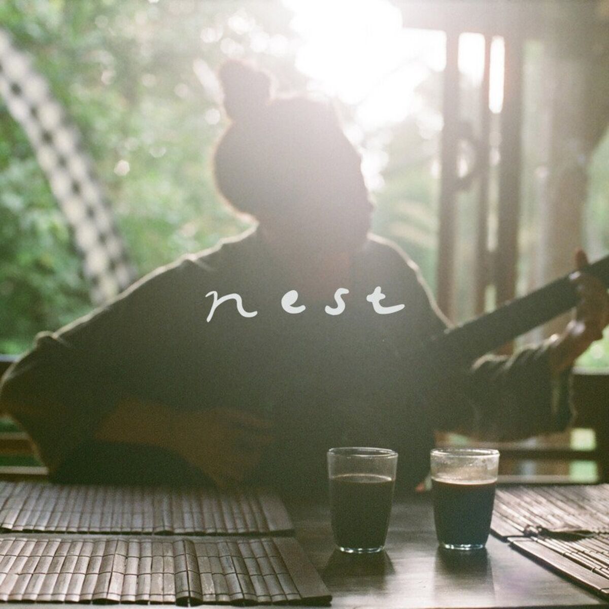 Album cover of Nest