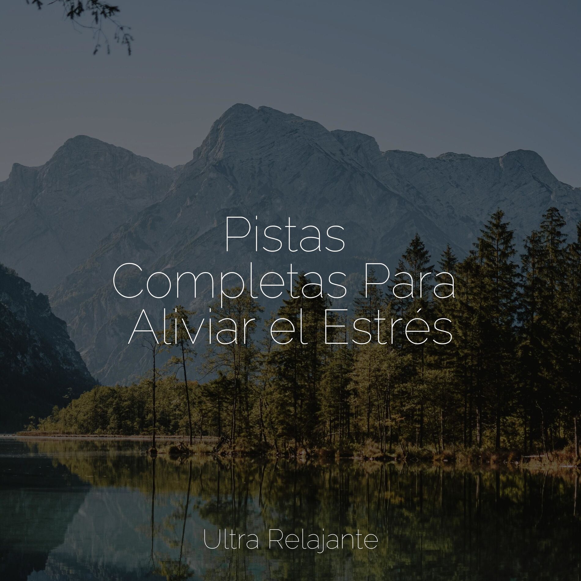 Album cover of Pistas Completas Para Aliviar el Estrés