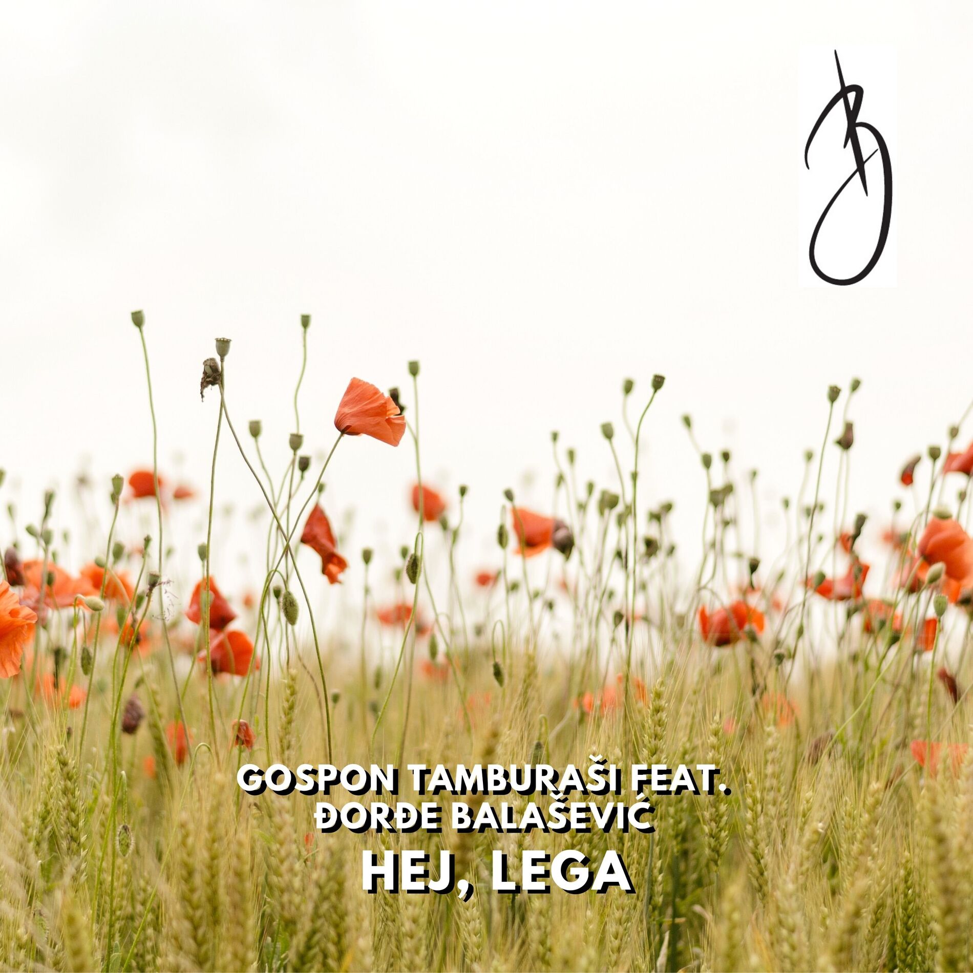 Album cover of Hej, lega
