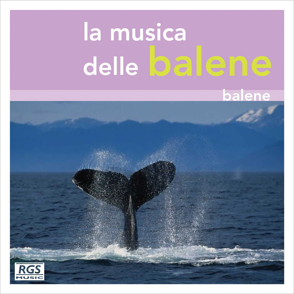 Picture of La Musica Delle Balene