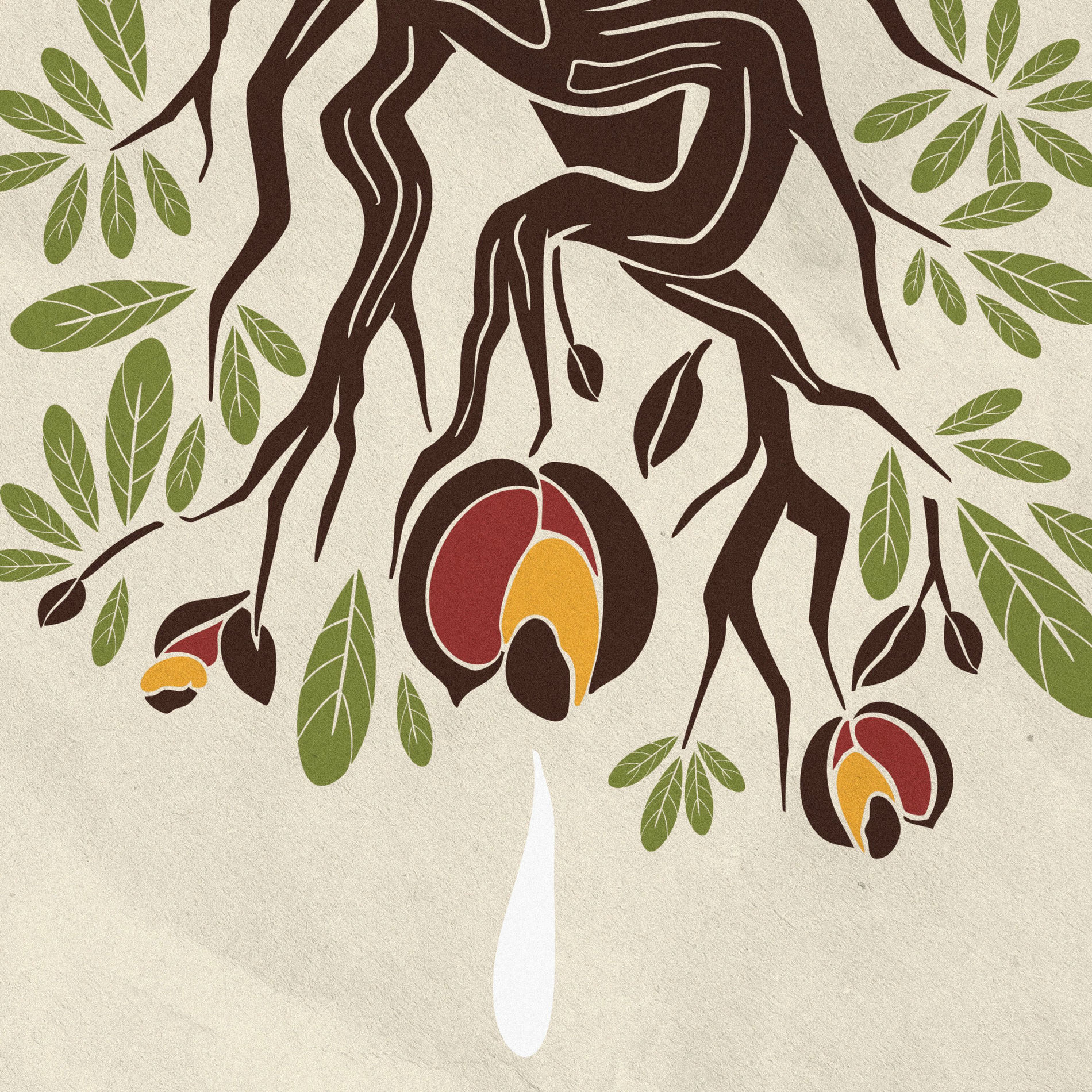 Album cover of O Cerrado Ameaçado