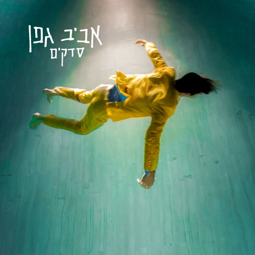 Picture of סדקים
