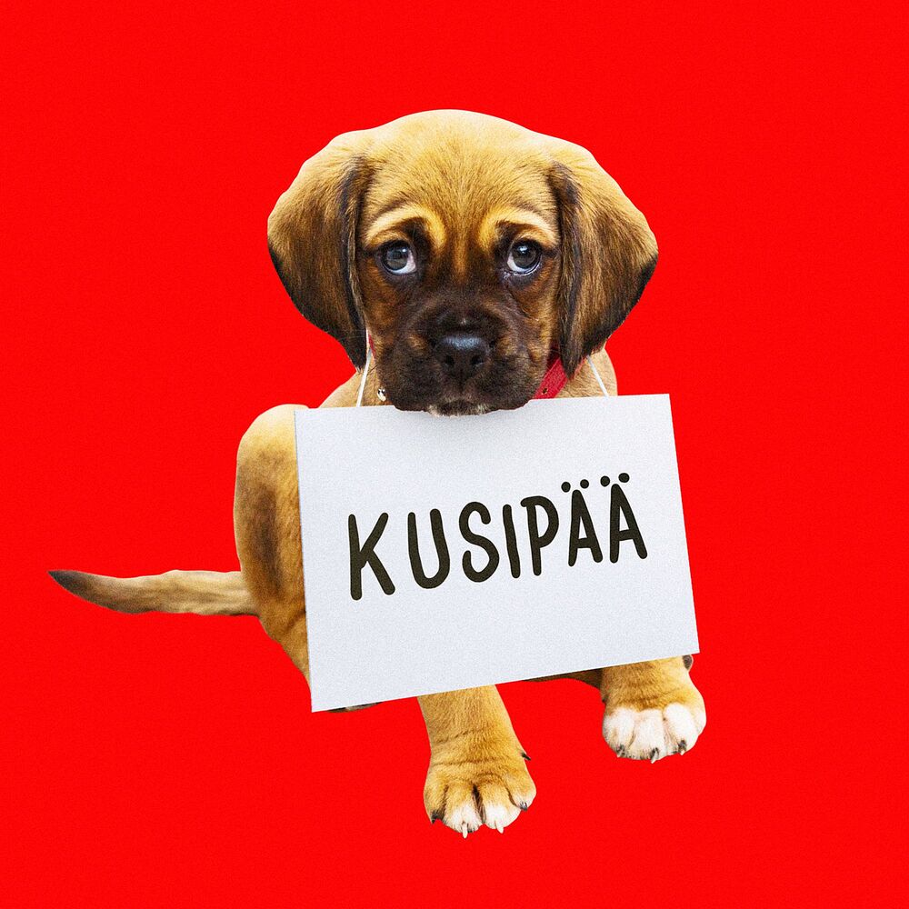 Picture of Kusipää
