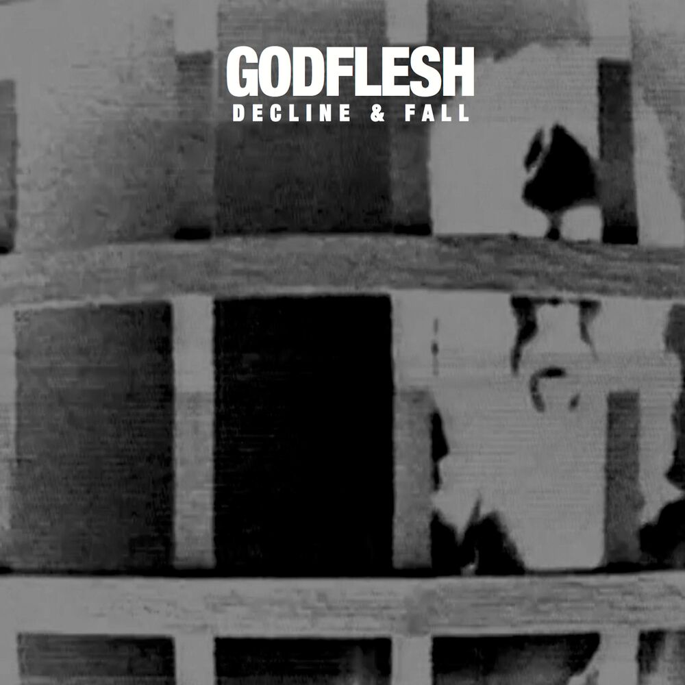 Picture of Decline and Fall