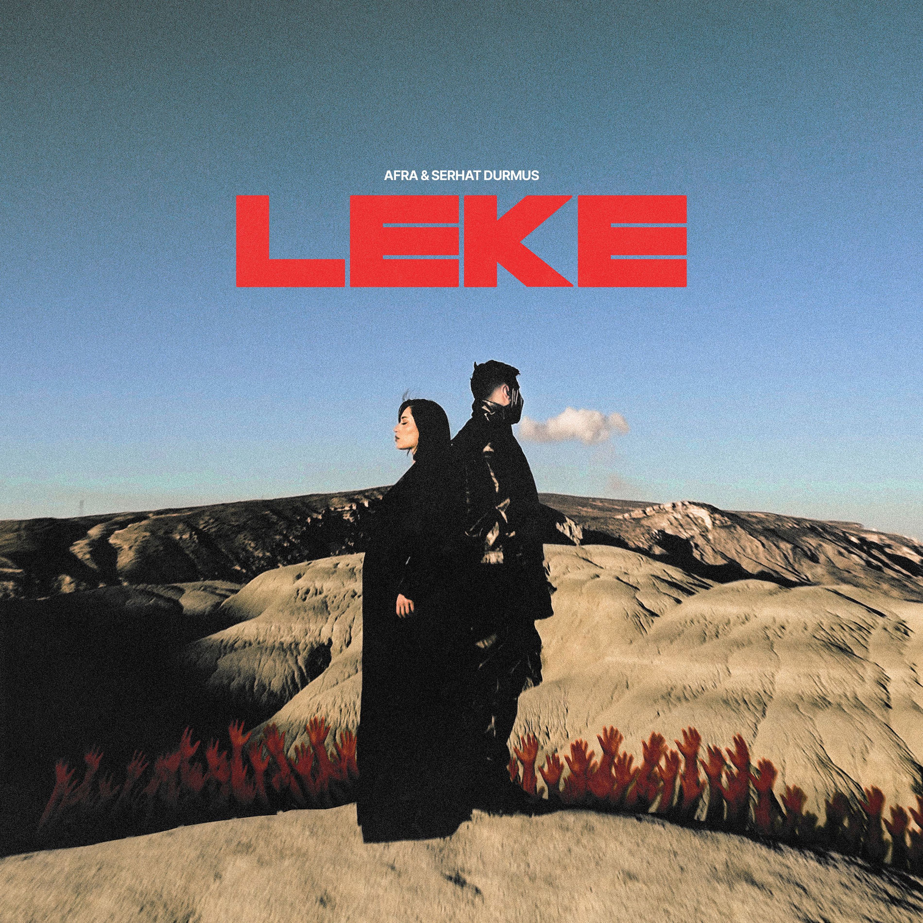 Album cover of Leke