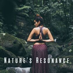 Cover of Nature's Resonance: Binaural Sounds for Deep Meditation