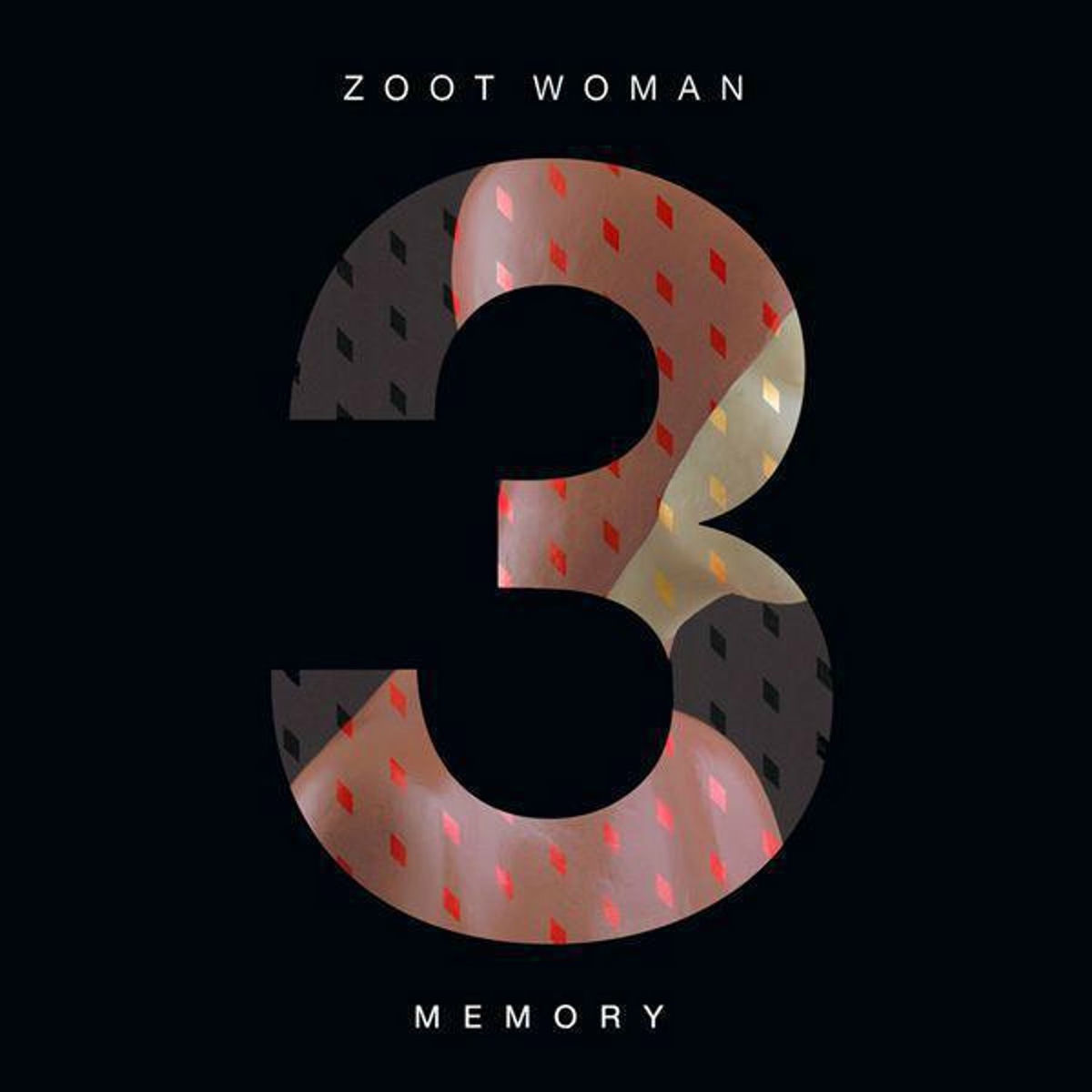 Album cover of Memory