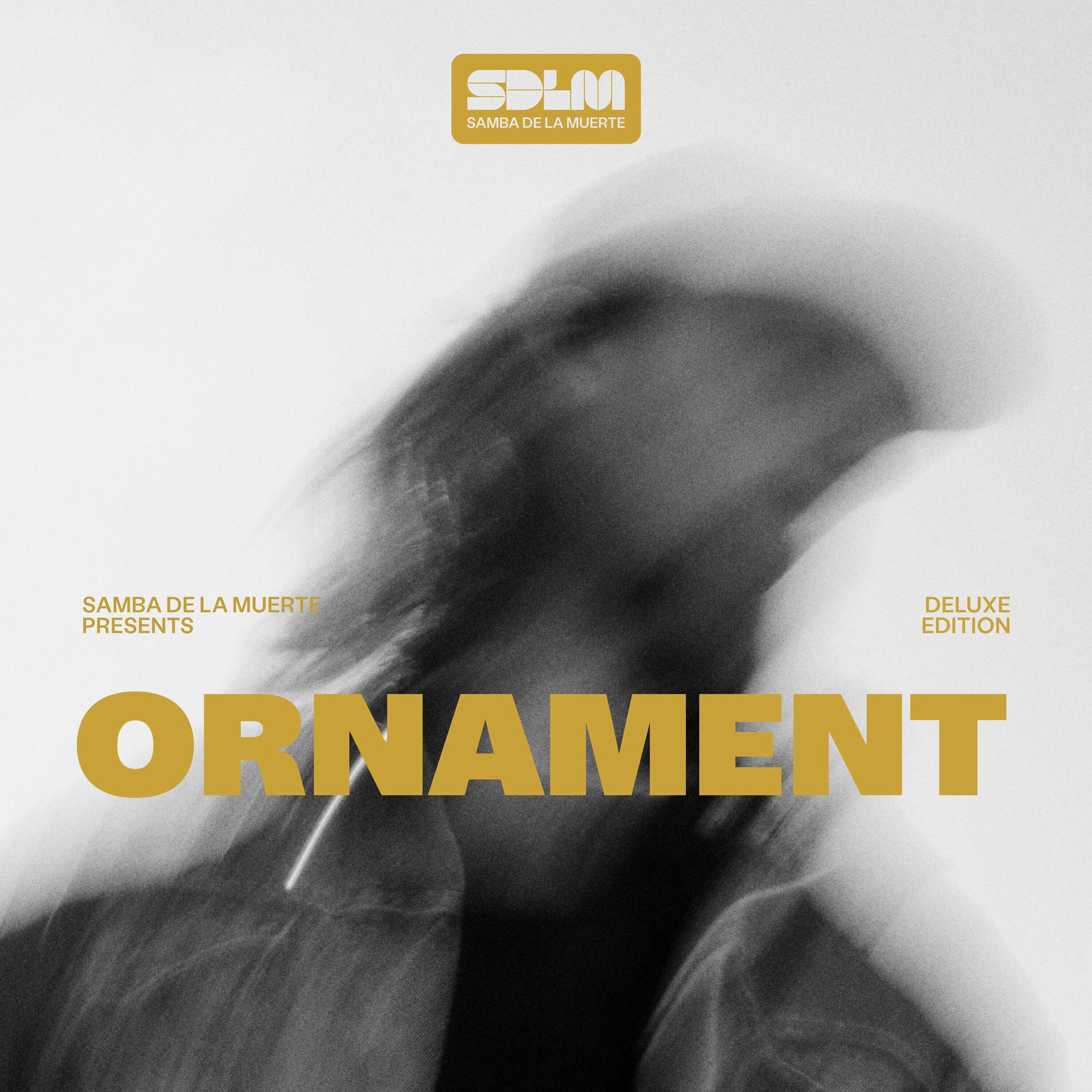 Album cover of Ornament (Deluxe Edition)