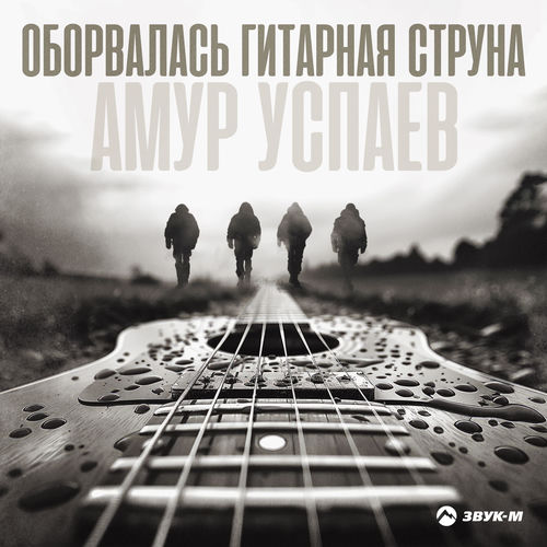 Оборвалась гитарная струна