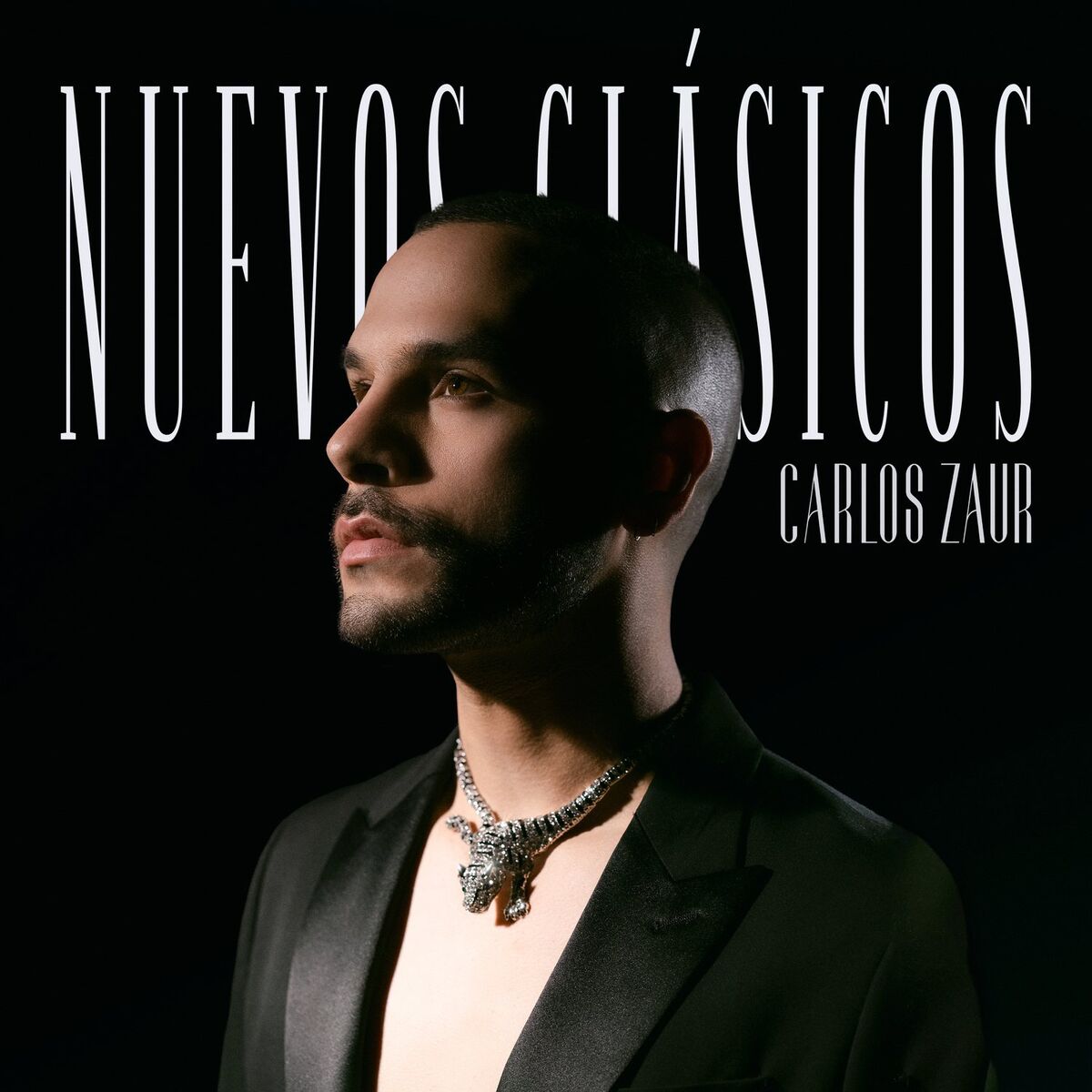 Album cover of Nuevos Clásicos