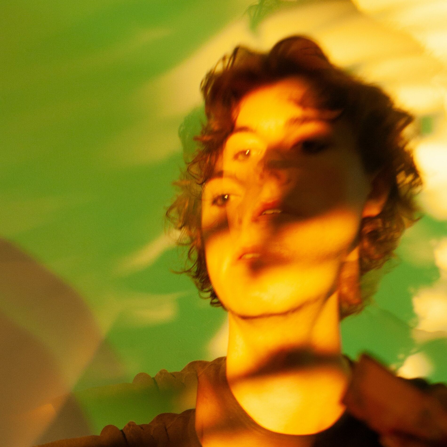 Album cover of Not Quite Gone