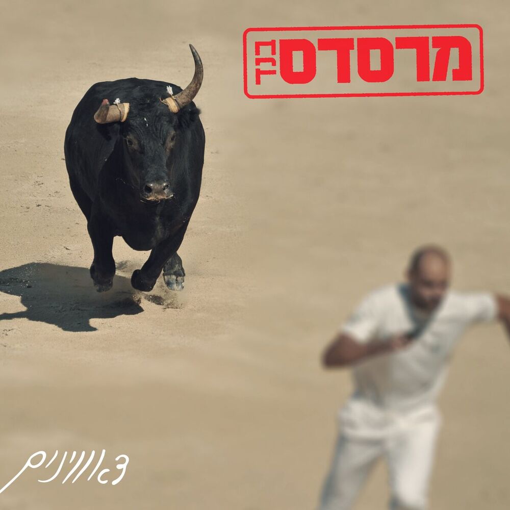 Picture of דאווינים