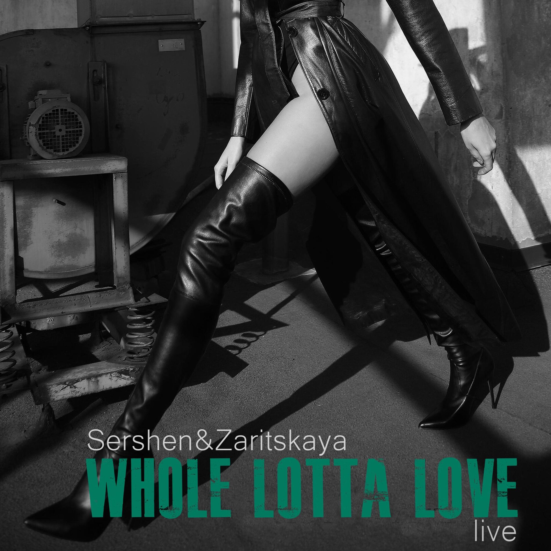 Album cover of Whole Lotta Love (Live)