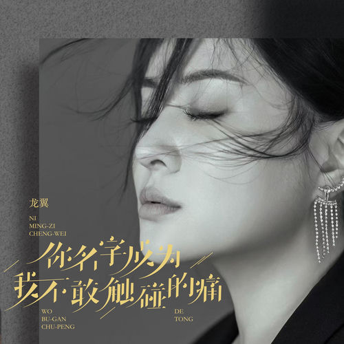 你名字成为我不敢触碰的痛