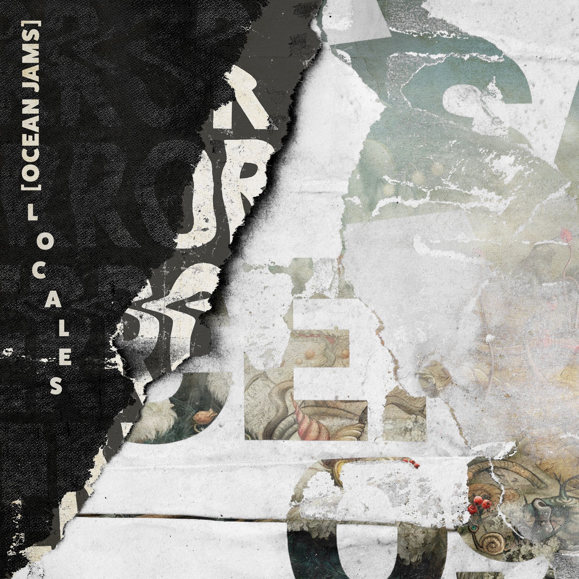 Album cover of Nova