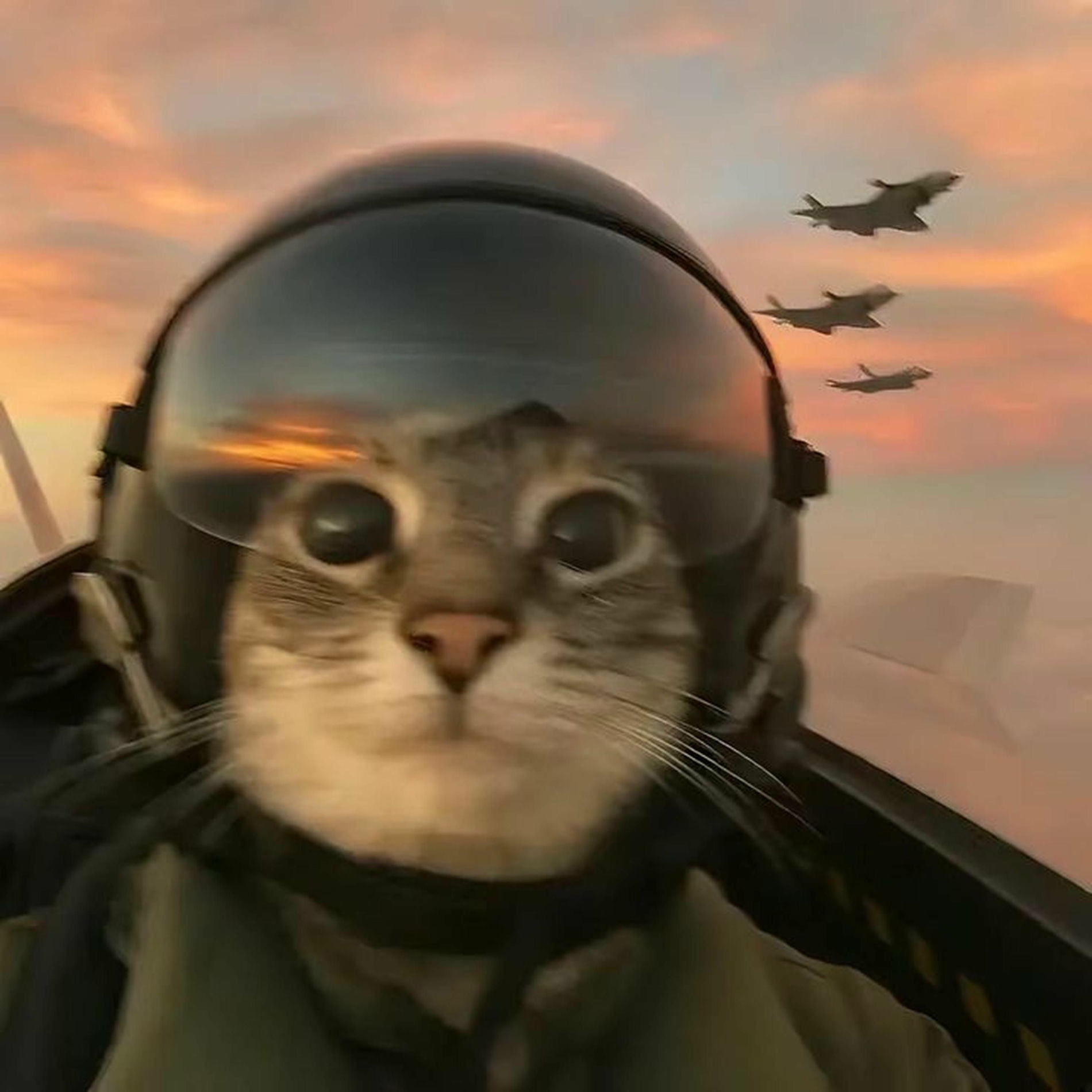 Album cover of superstar