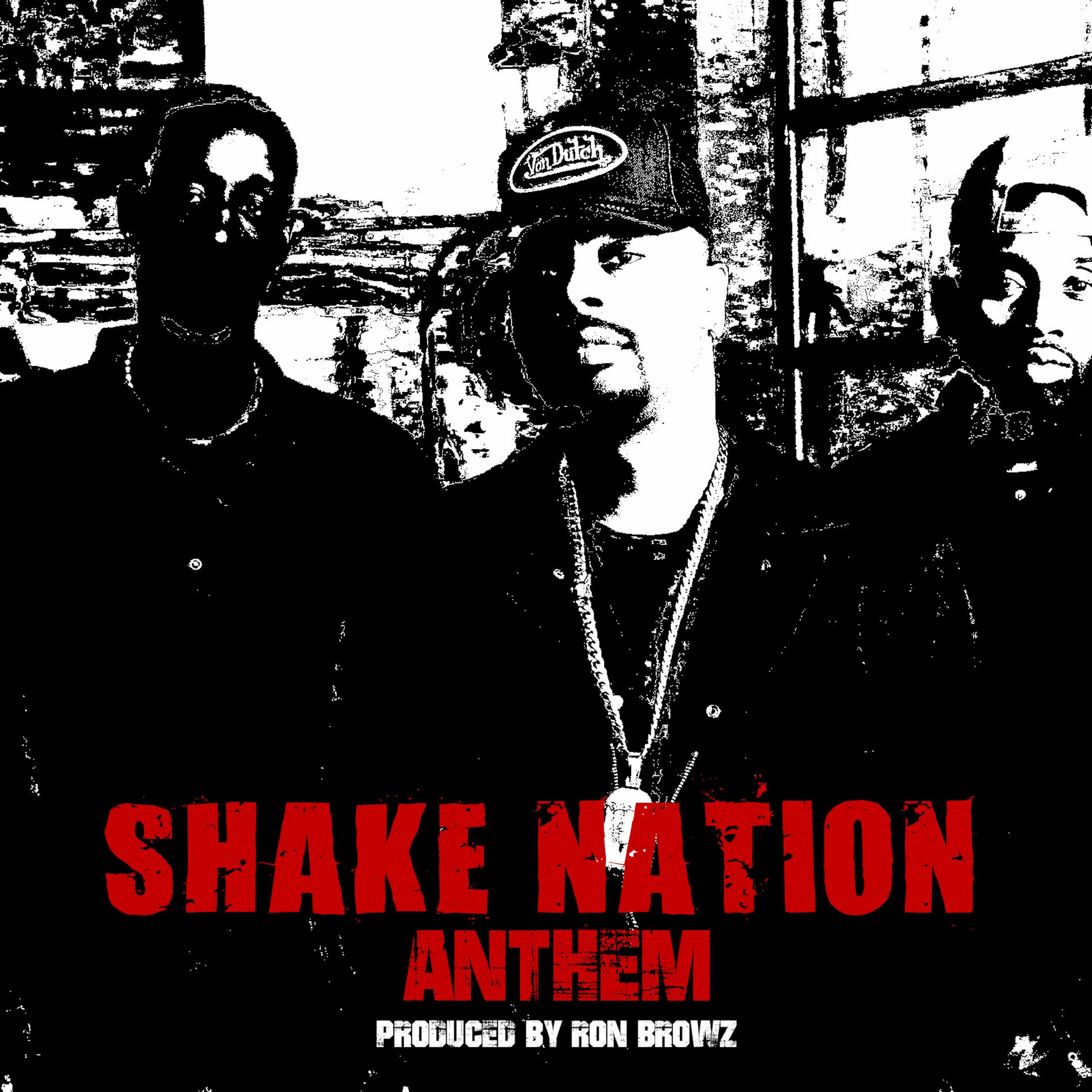 Album cover of Shake Nation Anthem