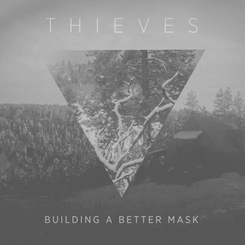 Picture of Building a Better Mask