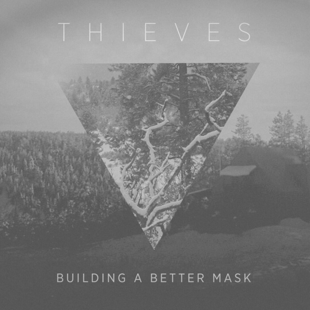 Album cover of Building a Better Mask
