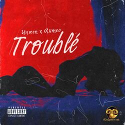 Cover of Trouble