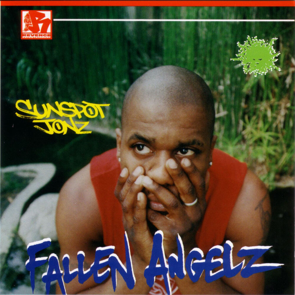 Picture of Fallen Angelz