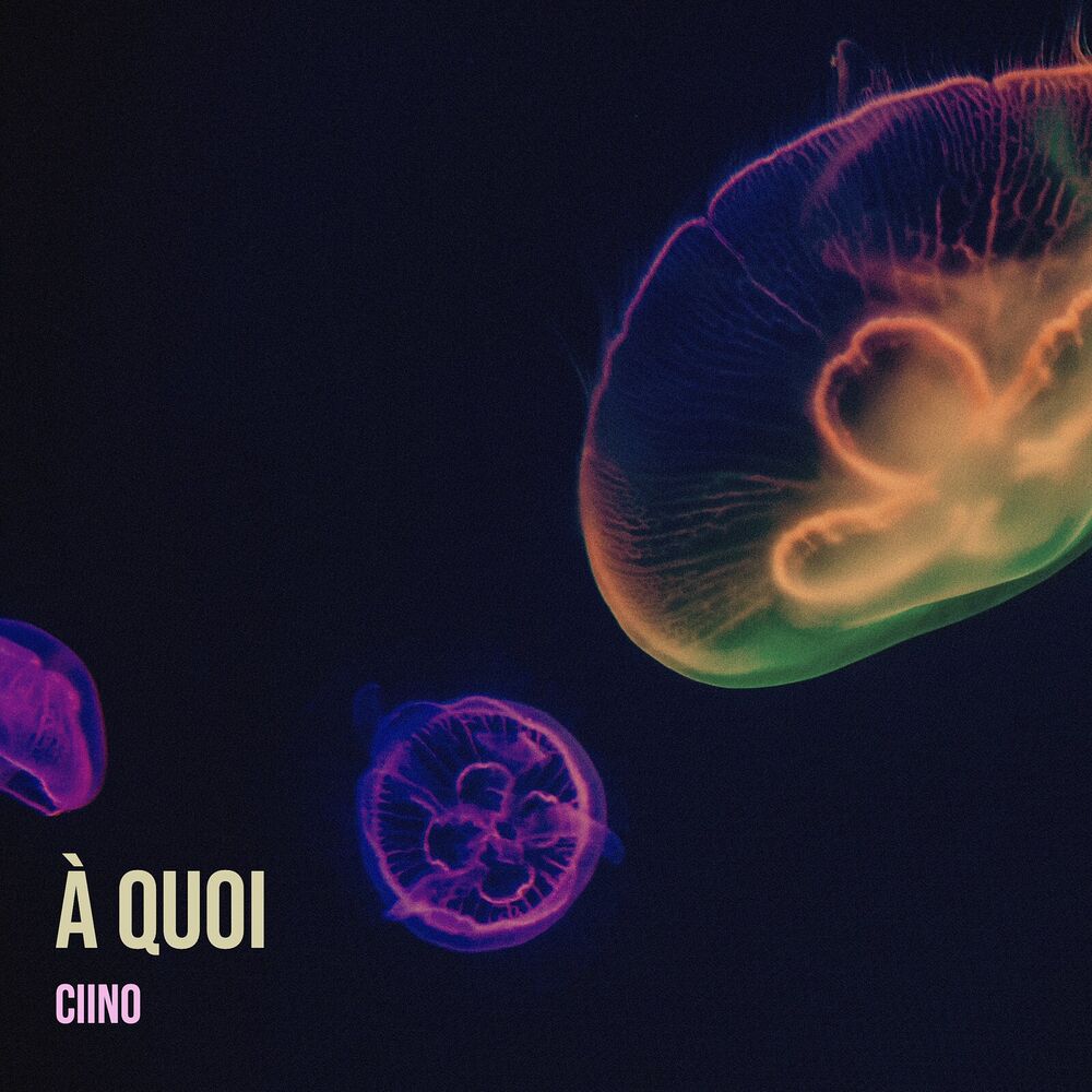 Picture of À quoi