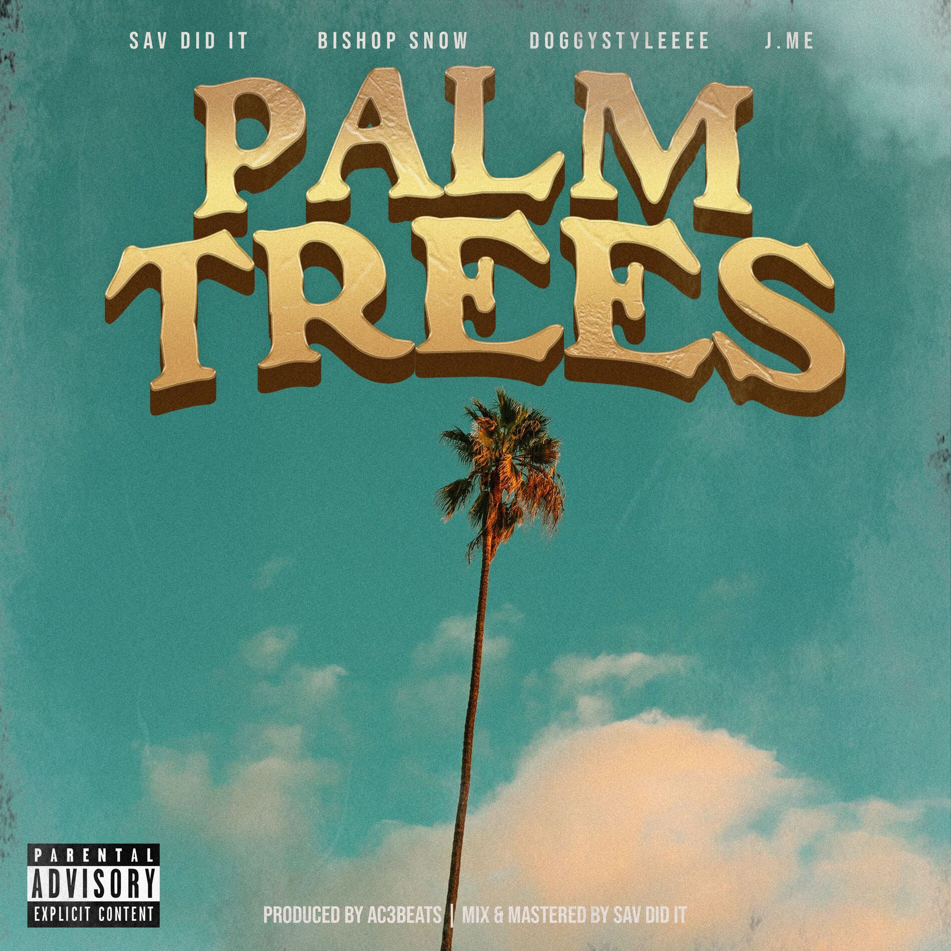 Album cover of Palm Trees (feat. Bishop Snow, Doggystyleeee & J.ME)
