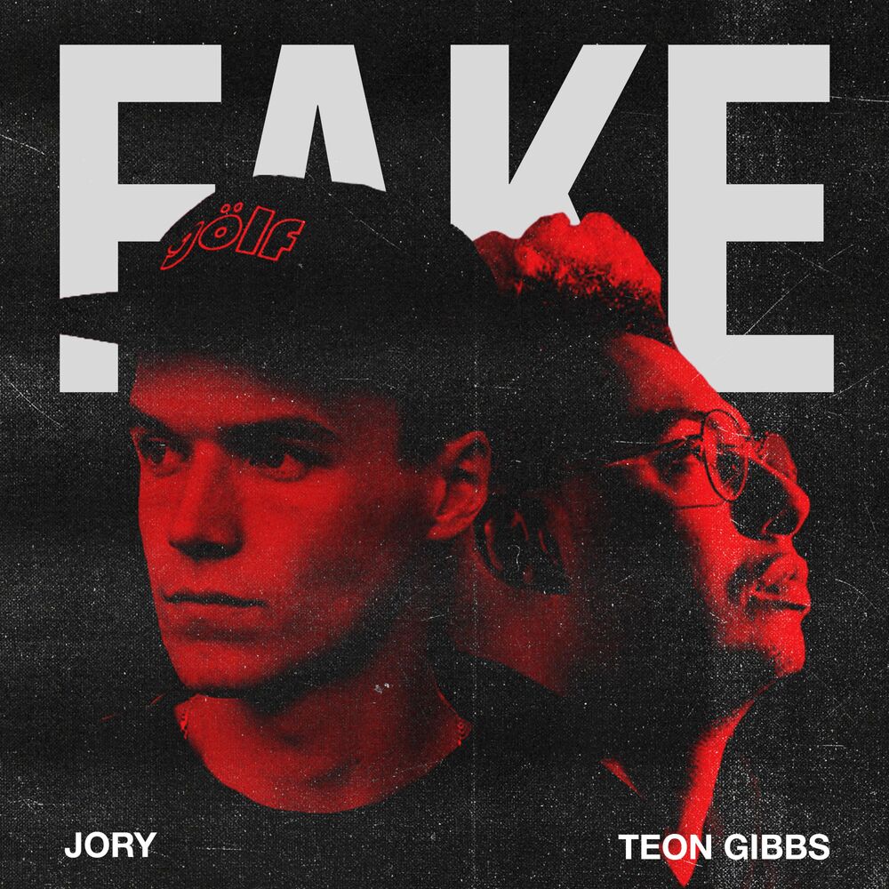Picture of Fake