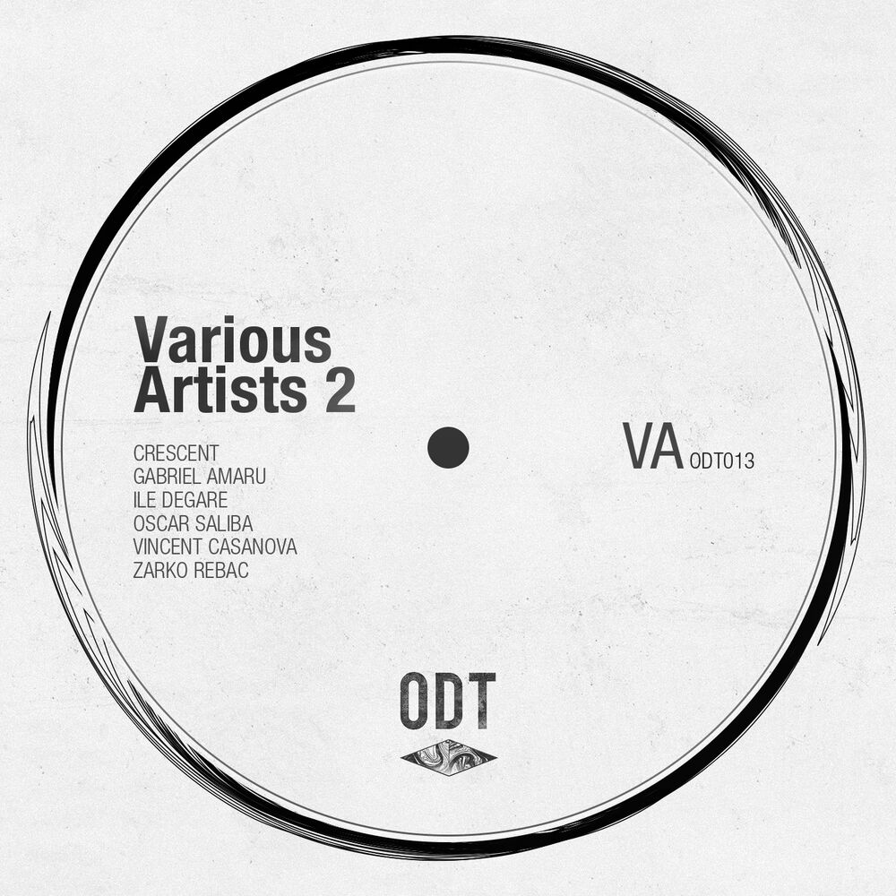 Picture of Various Artists vol.2