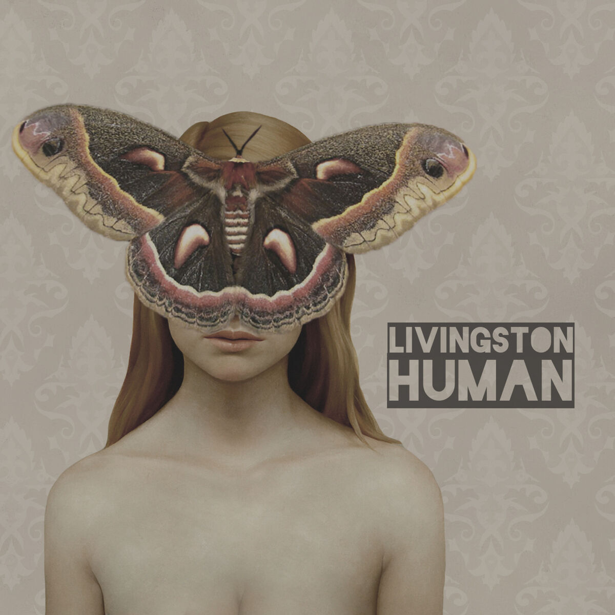 Album cover of Human