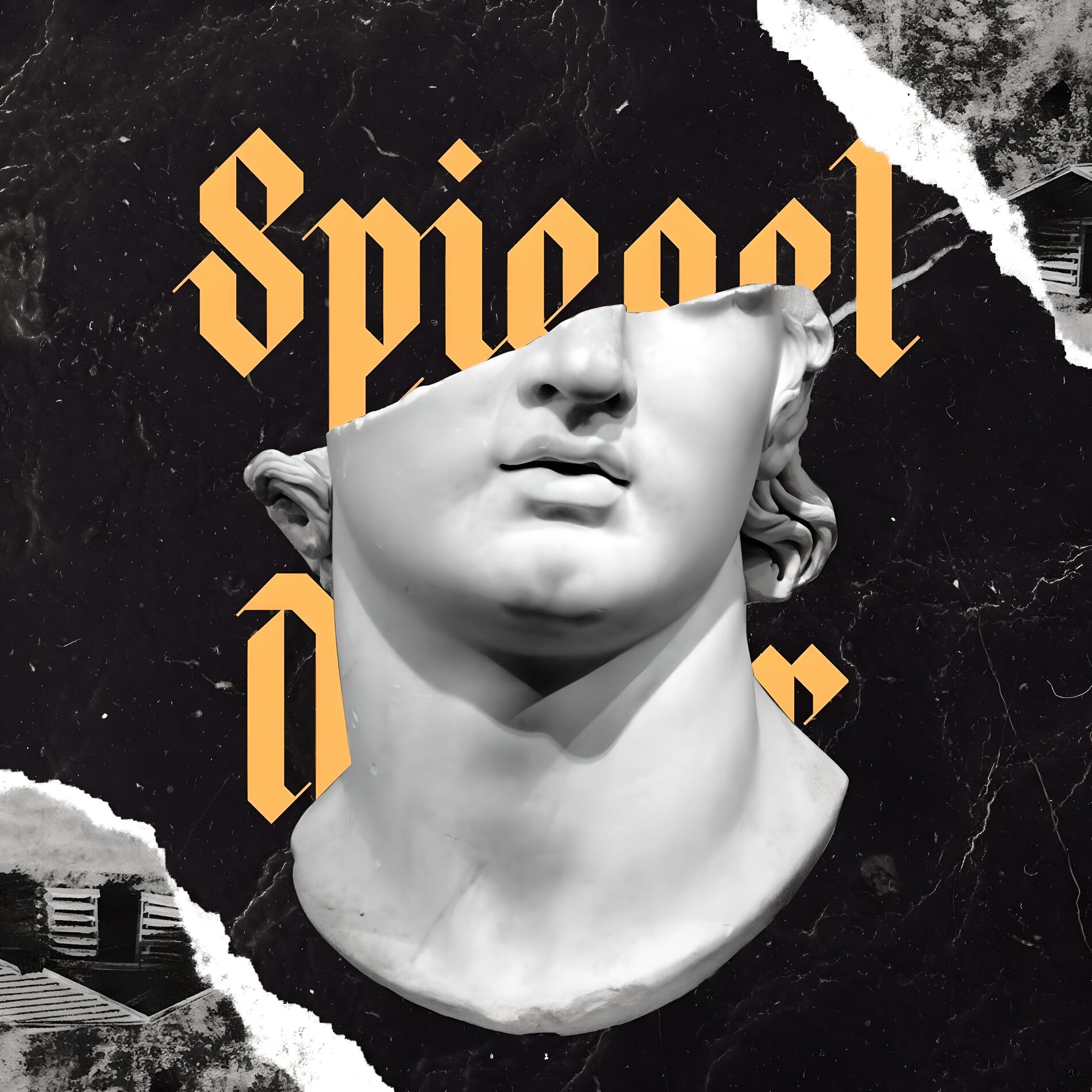 Album cover of Spiegel der Natur
