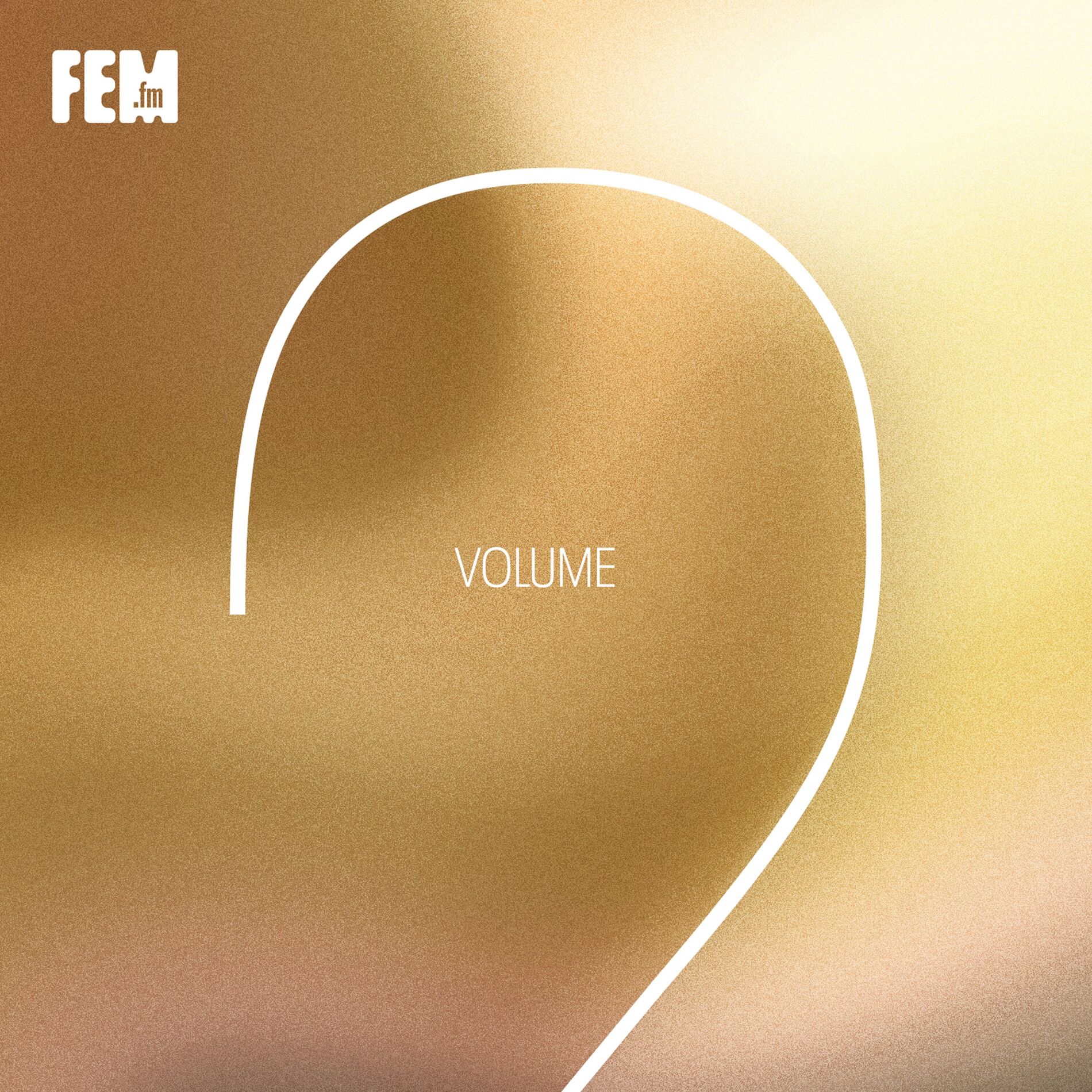 Album cover of FEM.fm: Vol. 2