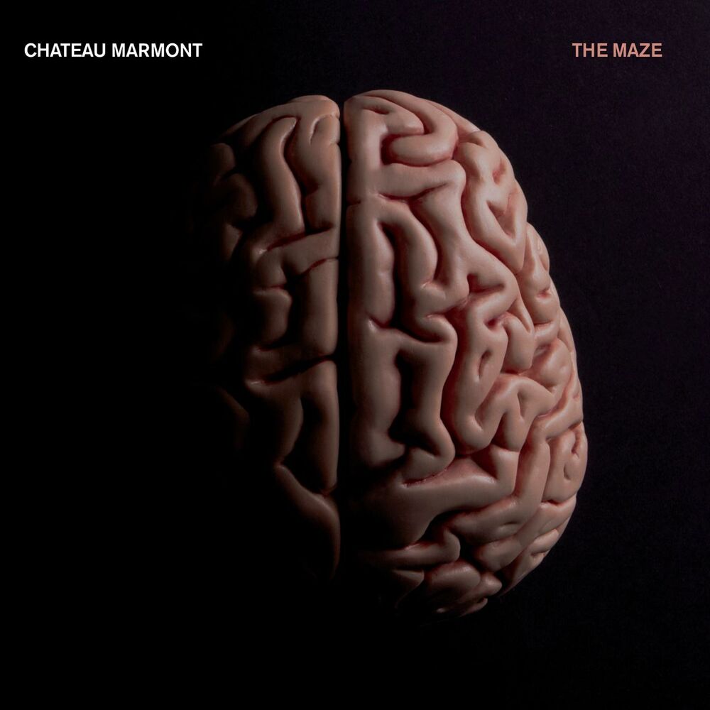 Picture of The Maze