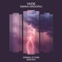 Cover of Spring Storm Remixes