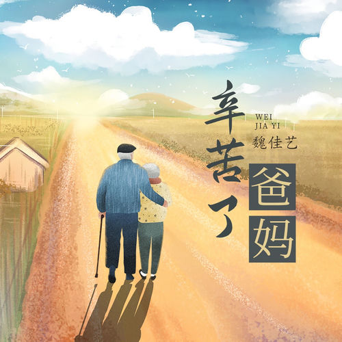 辛苦了爸妈 (DJ阿尼版)