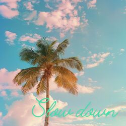 Cover of Slow Down