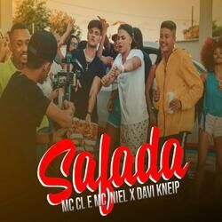 Cover of Safada