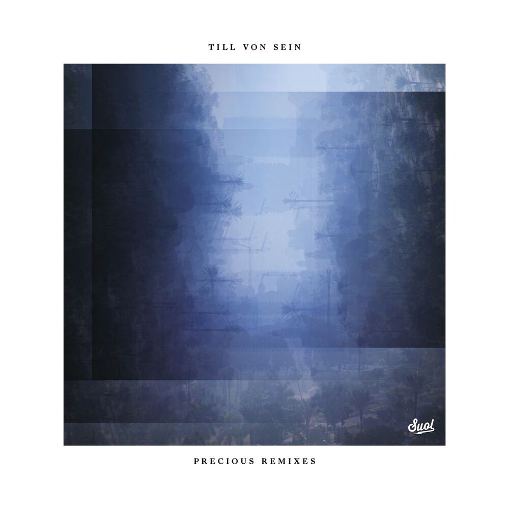 Picture of Precious Remixes