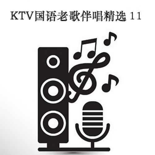 KTV国语老歌伴唱精选 11