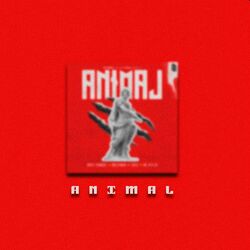 Cover of Animal