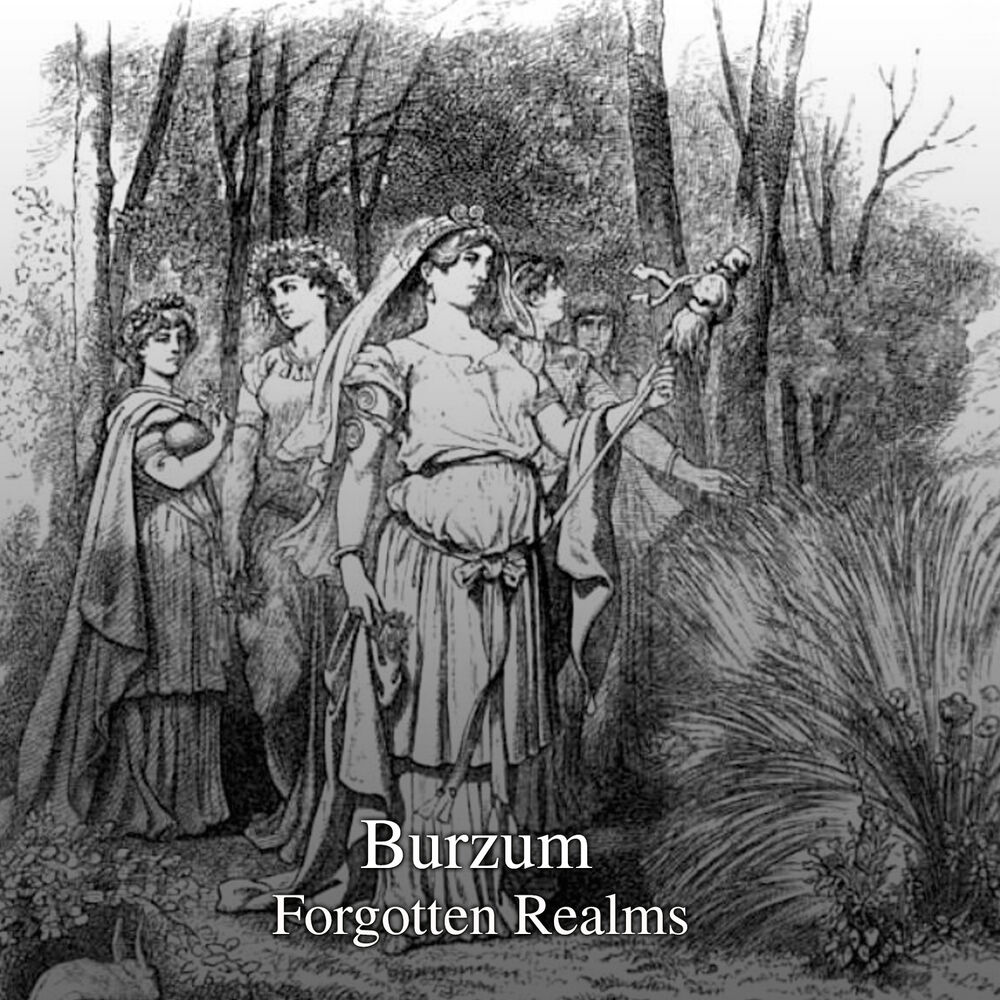 Picture of Forgotten Realms