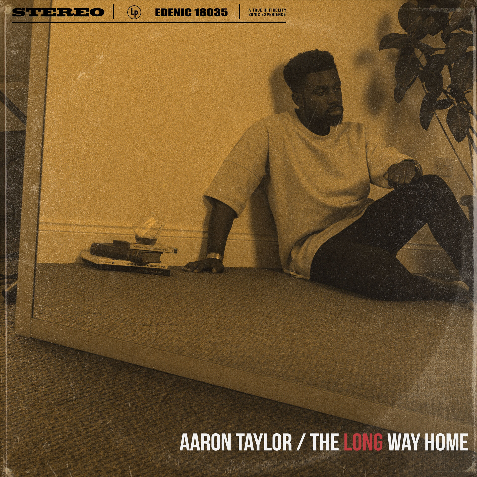 Album cover of The Long Way Home