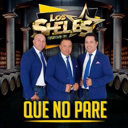 Cover of Que No Pare