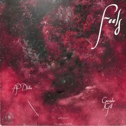 Cover of Feels