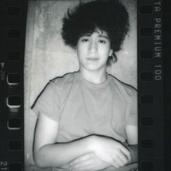 Cover of Incorrigible Youth