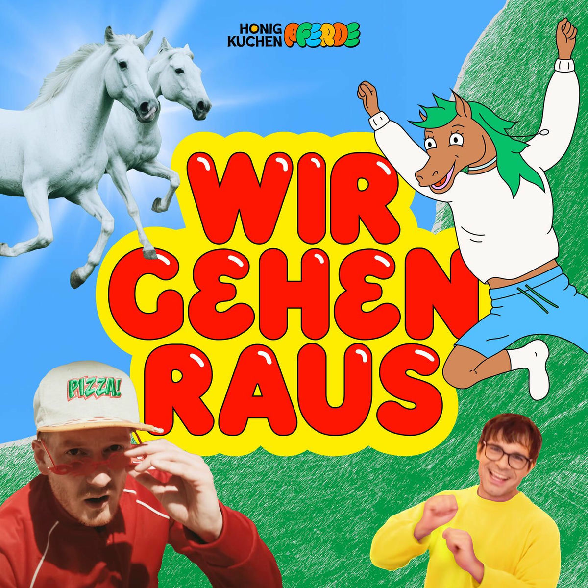 Album cover of Wir gehen raus